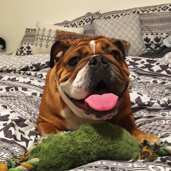 Meet your Posher, Ashley - Picture 6 of 8